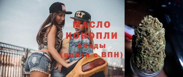 крисы Абаза