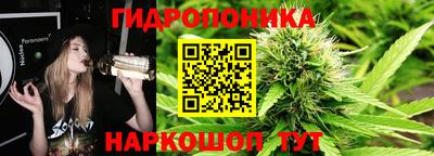 прущие грибы Балахна