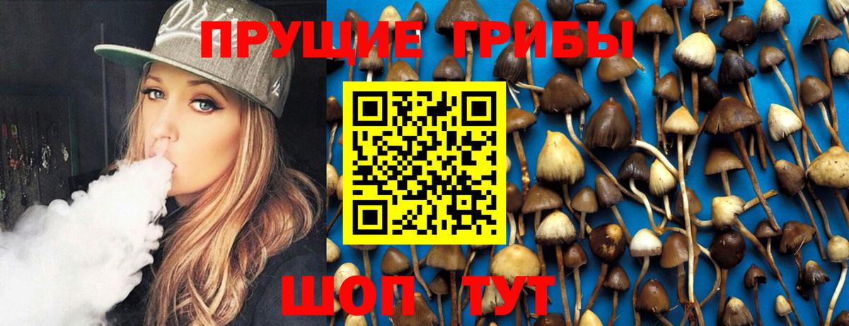 Воткинск  Галлюциногенные грибы Magic Shrooms  Вход с VPN 