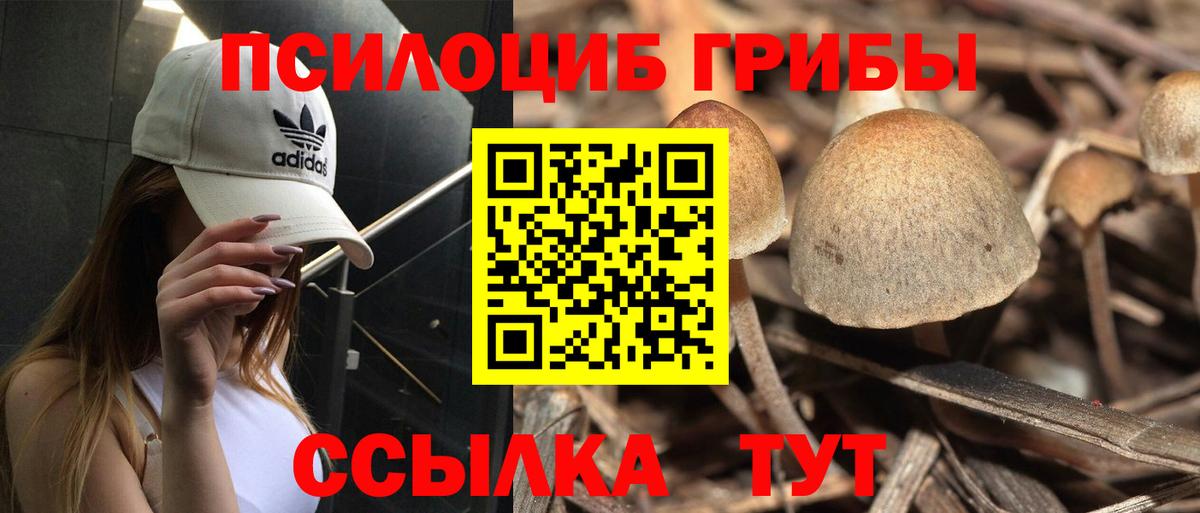 Галлюциногенные грибы Cubensis Воткинск